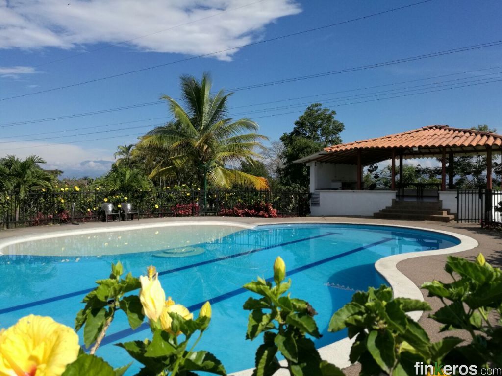 TRANQUILA FINCA EN SECTOR DE CERRITOS - Finca en Pereira, Risaralda